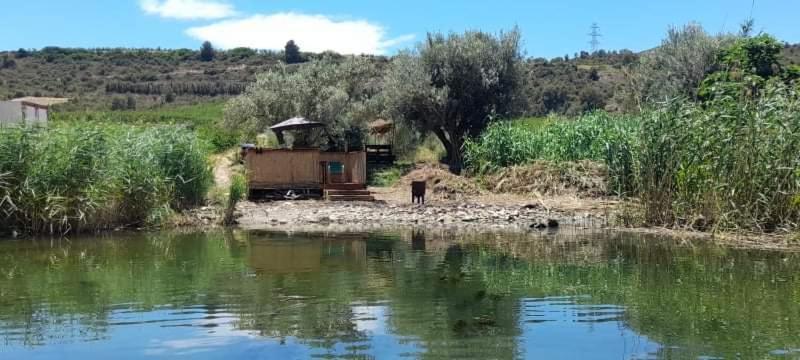 R U Ready Fishing, River Ebro Mequinenza Luaran gambar
